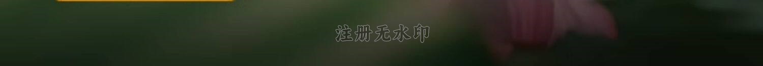 O1CN011lQq1E1OQBvZe1Pnr_!!2215687011699.jpg